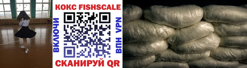 где можно купить   Энгельс  Cocaine FishScale 