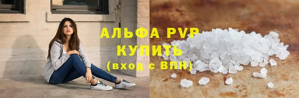 apvp Вяземский