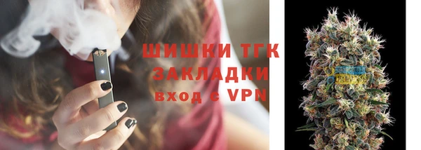 apvp Вяземский