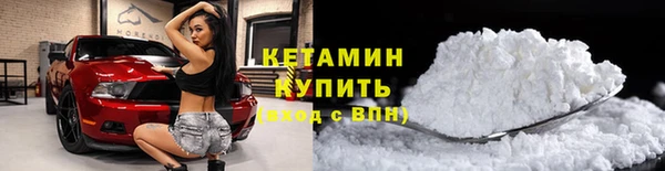 apvp Вяземский