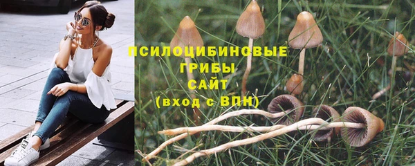 apvp Вяземский