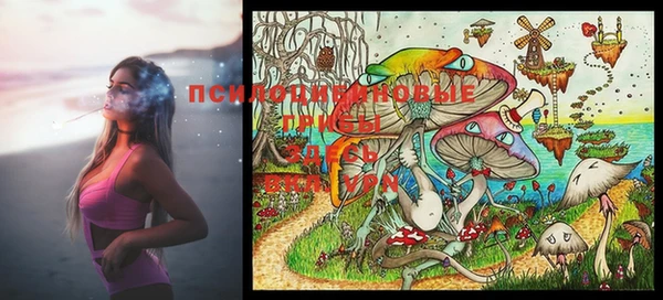 круглые Вязьма