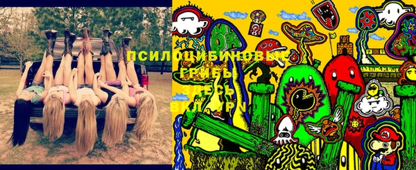 дурь Вязники