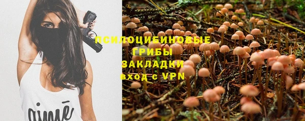 круглые Вязьма