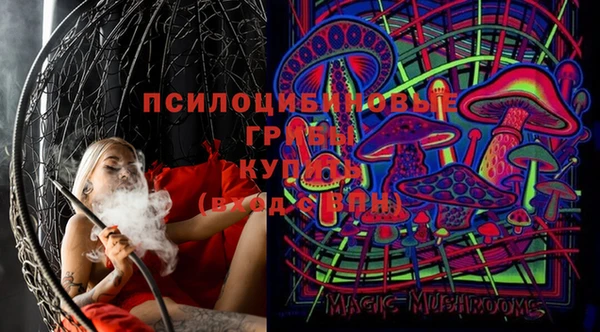 apvp Вяземский