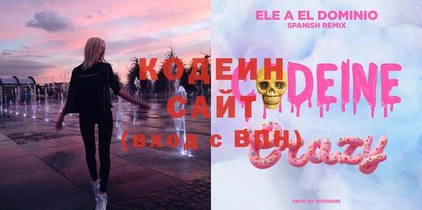 apvp Вяземский