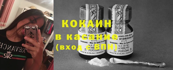 apvp Вяземский